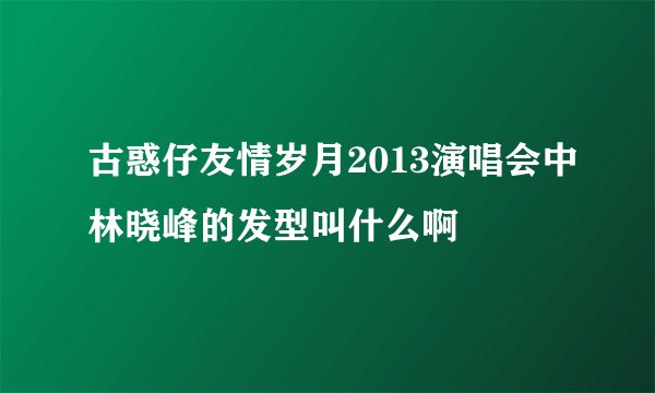 古惑仔友情岁月2013演唱会中林晓峰的发型叫什么啊