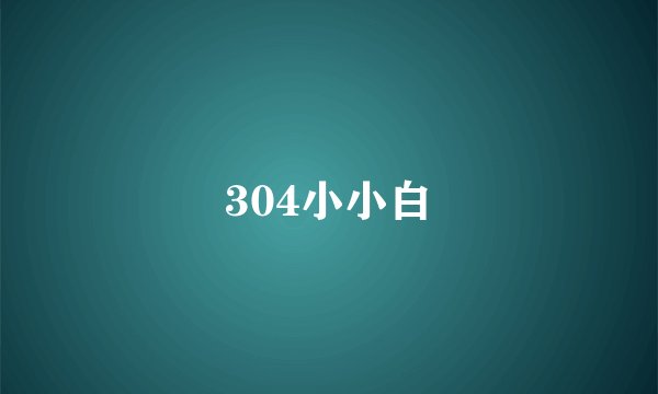 304小小白