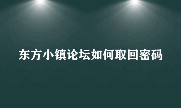 东方小镇论坛如何取回密码