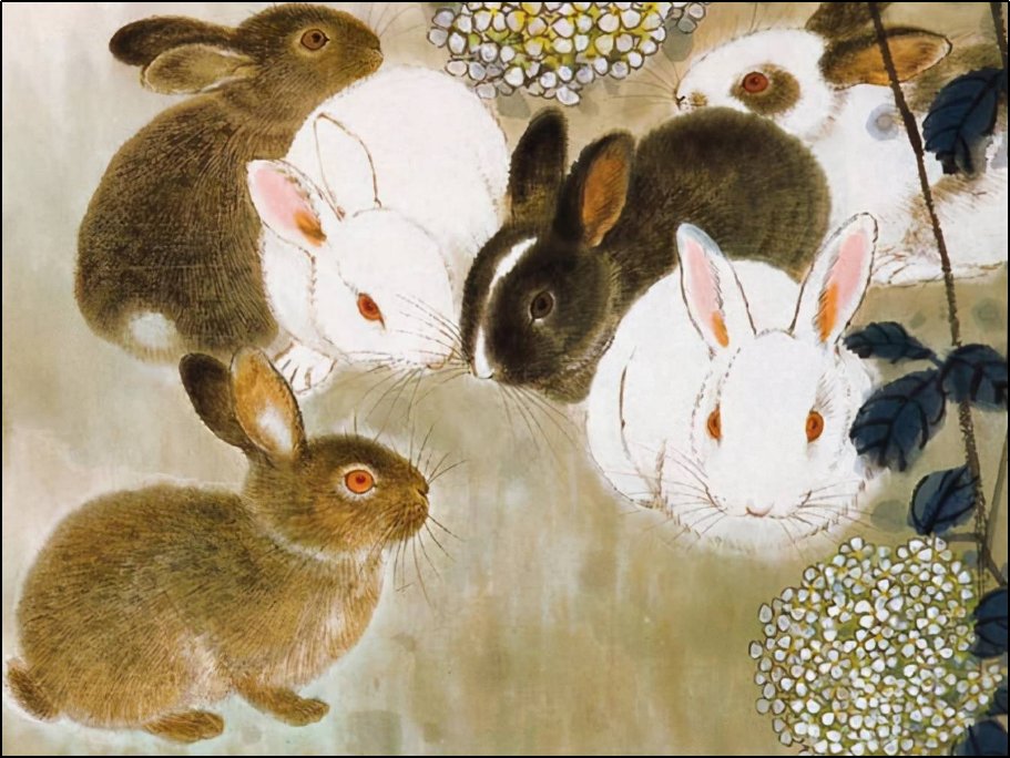 如影随形是什么生肖动物