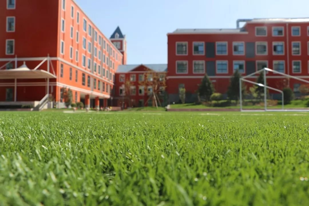 山西一小学强制学生买保险的做法合理吗