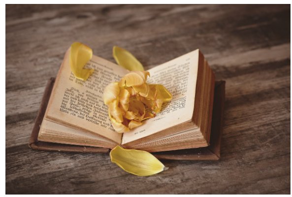 窥探意思是什么