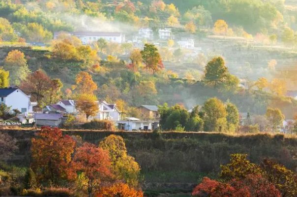 秋景表达思乡的诗句