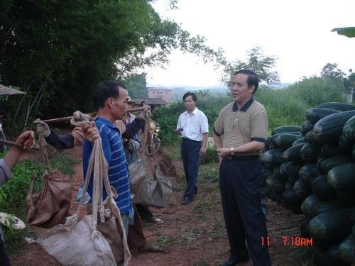 藤县在线的藤县在线简介