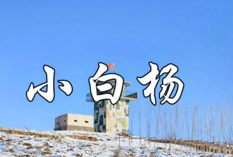 八十年代的经典老歌