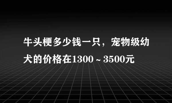 牛头梗多少钱一只，宠物级幼犬的价格在1300～3500元