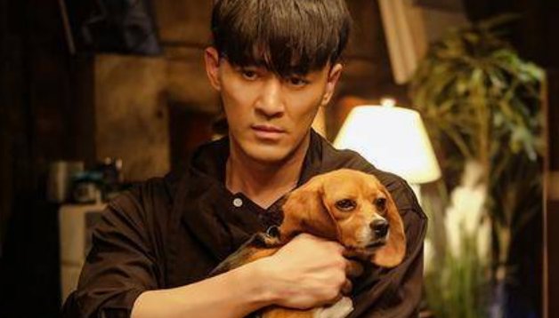 《也平凡》电视剧共多少集？