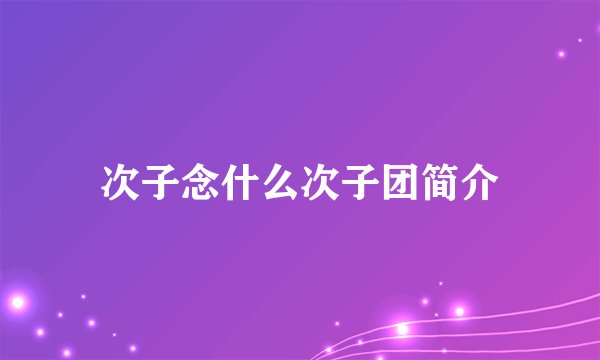 次子念什么次子团简介