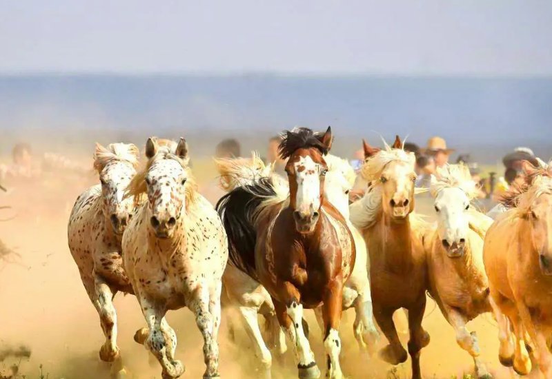 形容气势大的四字词语