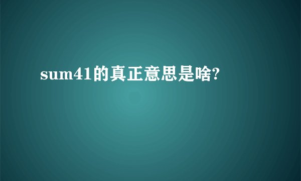 sum41的真正意思是啥?