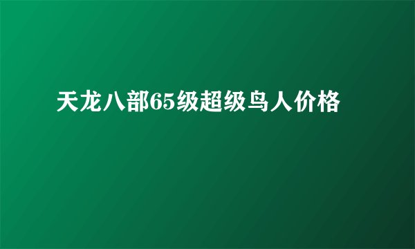 天龙八部65级超级鸟人价格