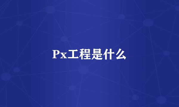 Px工程是什么