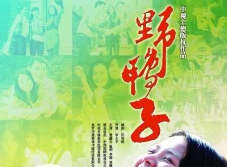 《野鸭子》第一部电视剧全体演员是？