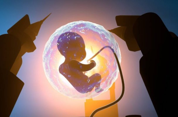 十月怀胎打一最佳生肖