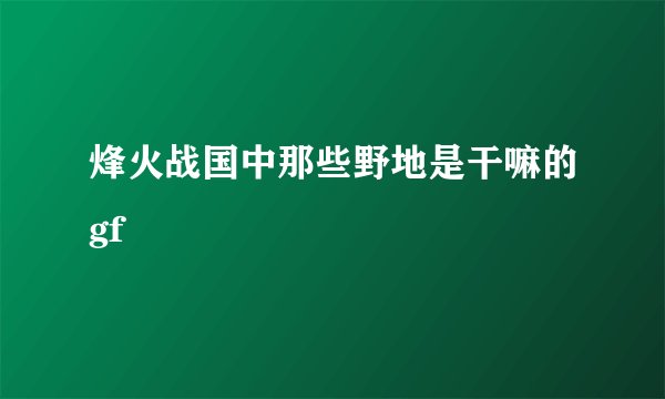 烽火战国中那些野地是干嘛的gf