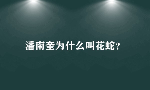 潘南奎为什么叫花蛇？
