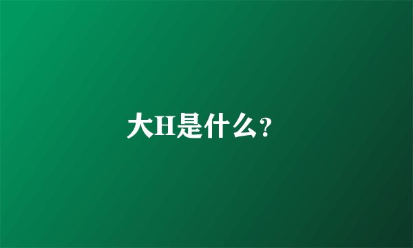 大H是什么？
