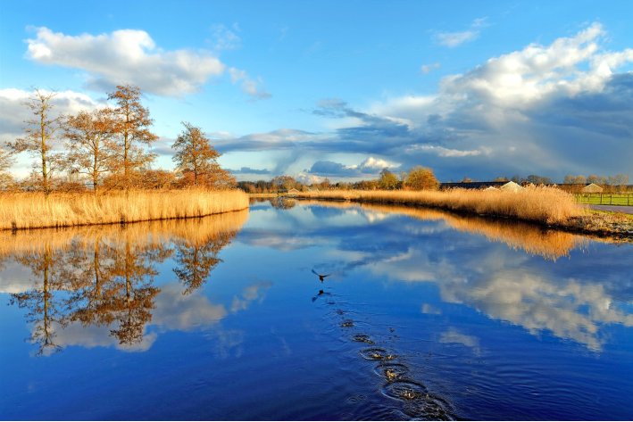 巧取豪夺什么意思