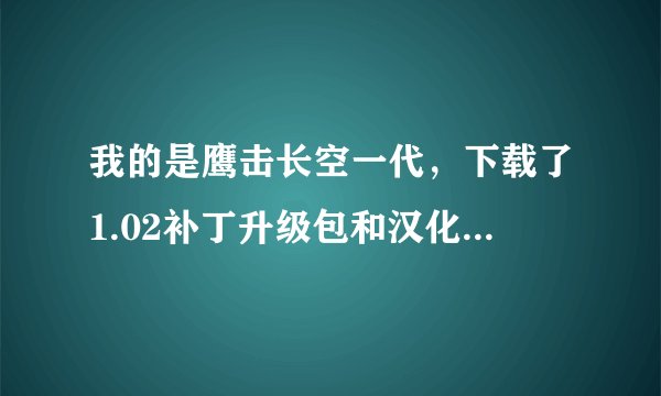 我的是鹰击长空一代，下载了1.02补丁升级包和汉化包却不能打补丁也不知道如何汉化。