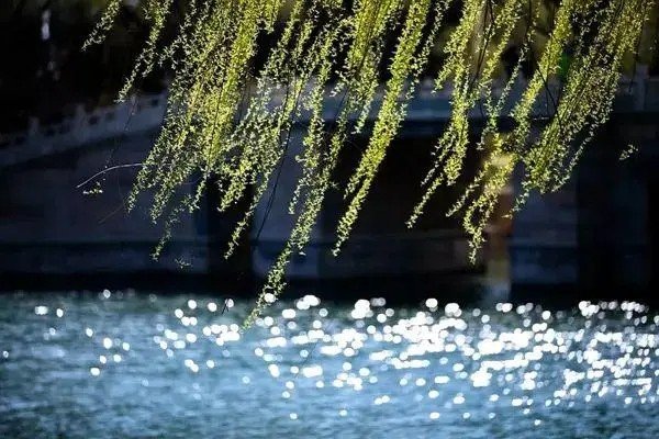 淅淅沥沥是大雨还是小雨