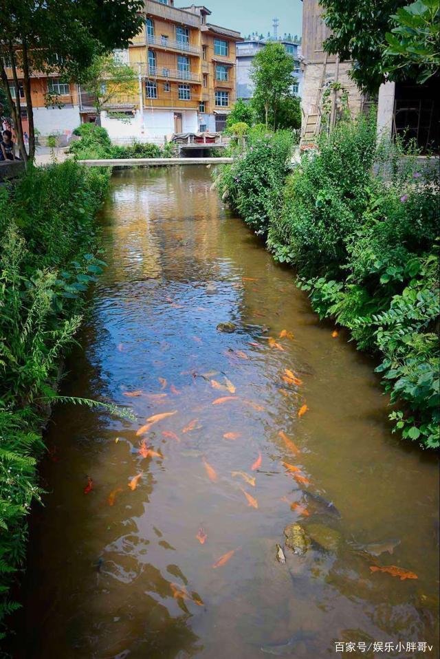 福建最“神秘”村庄，人鱼共处800年，满村都是河南人？