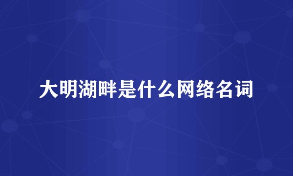 大明湖畔是什么网络名词