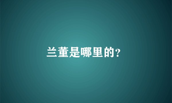 兰董是哪里的？