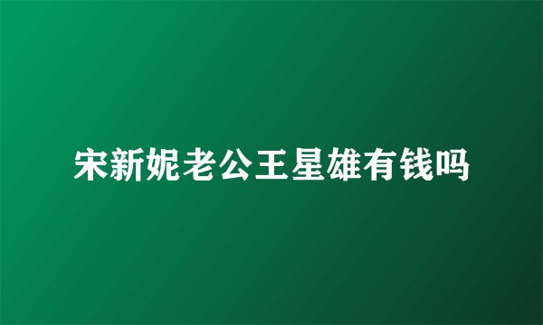 宋新妮老公王星雄有钱吗