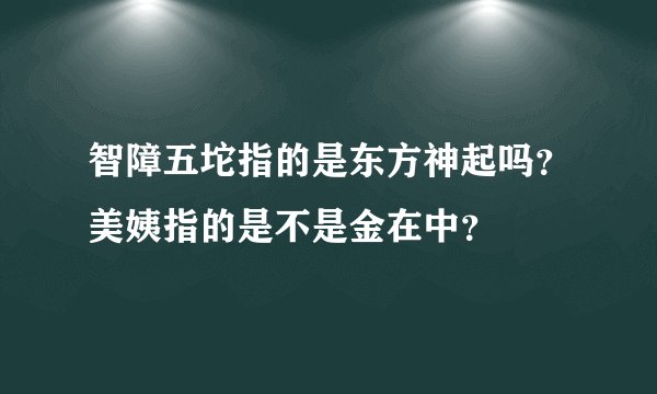 智障五坨指的是东方神起吗？美姨指的是不是金在中？