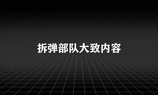 拆弹部队大致内容