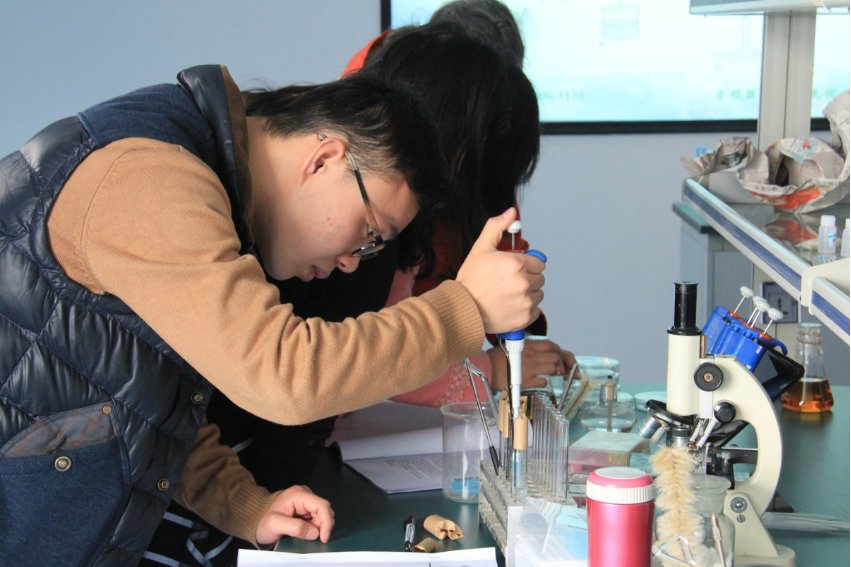 氢氧化钠和氯气反应吗？