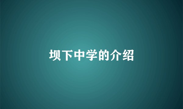 坝下中学的介绍