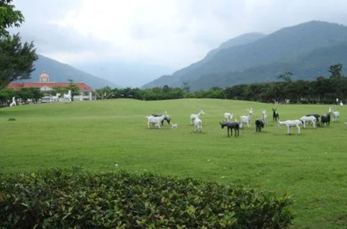 农场主三姐妹美国1976