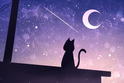 2020年12月23日有小熊座流星雨吗?