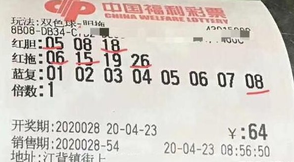 乐透型c515开奖结果