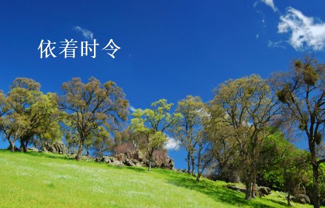 依着时令是什么意思