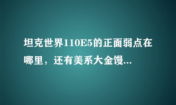 坦克世界110E5的正面弱点在哪里，还有美系大金馒头的正面弱点，求高手指点