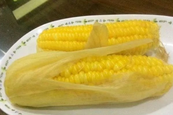老玉米煮多久能熟