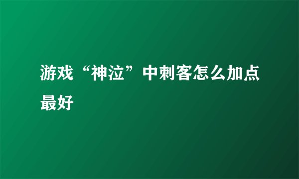 游戏“神泣”中刺客怎么加点最好