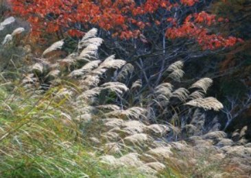 有位佳人在水一方的全诗是什么?