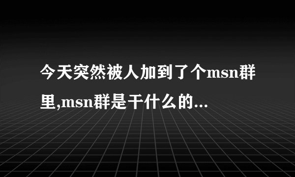 今天突然被人加到了个msn群里,msn群是干什么的,怎么用啊?
