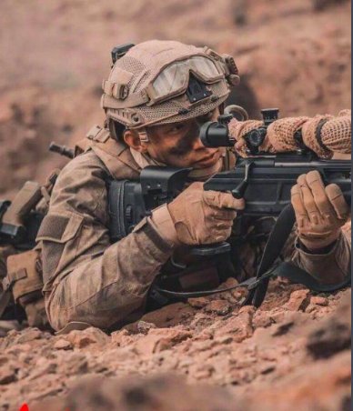 红海行动演员表