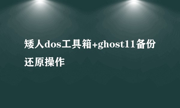 矮人dos工具箱+ghost11备份还原操作
