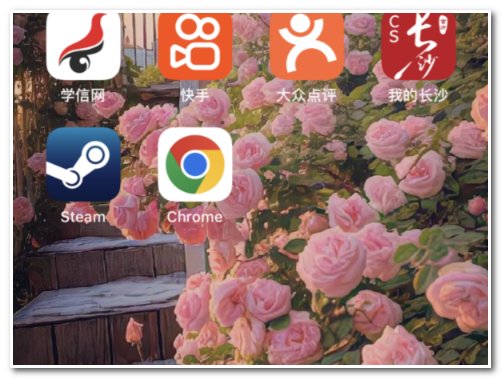 iphone如何打开毒蘑菇测试？