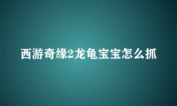 西游奇缘2龙龟宝宝怎么抓