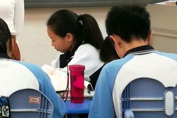 天时人和打一动物生肖