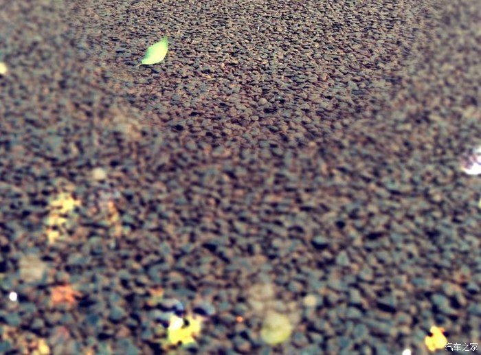 春暖花开、奔你而来、和睿骋CC有个约会！