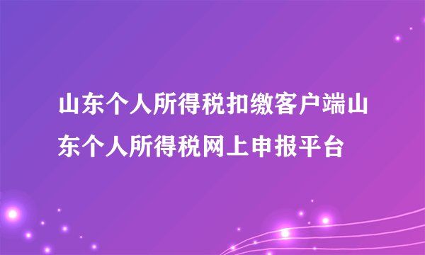 山东个人所得税扣缴客户端山东个人所得税网上申报平台