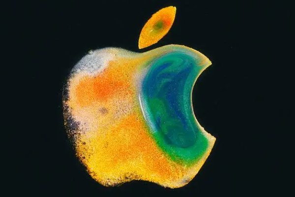 apple id密码是什么？