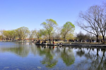 微信公众号玉渊潭天是谁建的，几乎每一篇文章都被央视新闻转发?